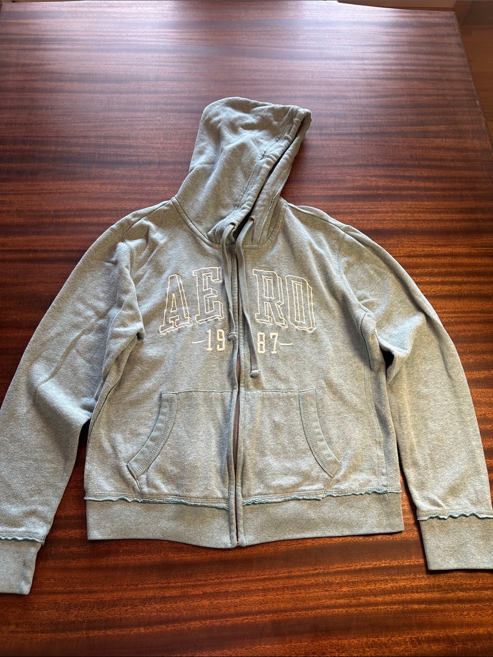 American Eagle Outfitters Light Green Hooded Zip Sweatshirt